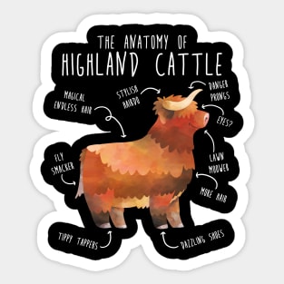 Highland Cow Anatomy Sticker